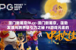 澳门新葡京f8.cc-澳门新葡京，蓬勃发展与跨界吸引力之秘 F8游戏元素的体验揭秘-澳门新葡京f8.cc