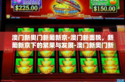 澳门新奥门新葡新京-澳门新面貌，新葡新京下的繁荣与发展-澳门新奥门新葡新京
