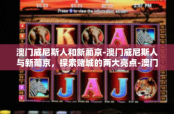 澳门威尼斯人和新葡京-澳门威尼斯人与新葡京，探索赌城的两大亮点-澳门威尼斯人和新葡京