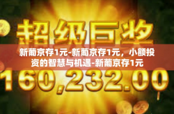新葡京存1元-新葡京存1元，小额投资的智慧与机遇-新葡京存1元