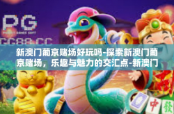 新澳门葡京赌场好玩吗-探索新澳门葡京赌场，乐趣与魅力的交汇点-新澳门葡京赌场好玩吗