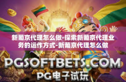 新葡京代理怎么做-探索新葡京代理业务的运作方式-新葡京代理怎么做