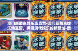 澳门新葡京娱乐场直营-澳门新葡京娱乐场直营，探索现代娱乐的新领域-澳门新葡京娱乐场直营
