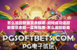 怎么追回新葡京余额呢-如何成功追回新葡京余额—实用指南-怎么追回新葡京余额呢