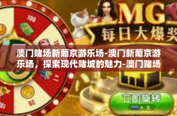 澳门赌场新葡京游乐场-澳门新葡京游乐场，探索现代赌城的魅力-澳门赌场新葡京游乐场
