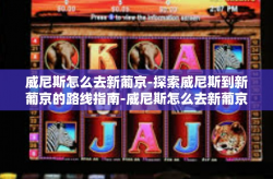 威尼斯怎么去新葡京-探索威尼斯到新葡京的路线指南-威尼斯怎么去新葡京