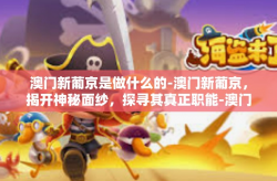 澳门新葡京是做什么的-澳门新葡京，揭开神秘面纱，探寻其真正职能-澳门新葡京是做什么的