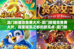澳门新葡京免费大片-澳门新葡京免费大片，探索娱乐之都的新亮点-澳门新葡京免费大片