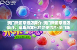 澳门新葡京酒店简介-澳门新葡京酒店简介，豪华与文化的完美结合-澳门新葡京酒店简介