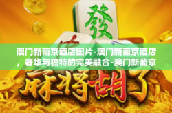 澳门新葡京酒店图片-澳门新葡京酒店，奢华与独特的完美融合-澳门新葡京酒店图片