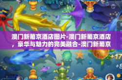 澳门新葡京酒店图片-澳门新葡京酒店，豪华与魅力的完美融合-澳门新葡京酒店图片