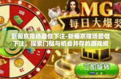 新葡京赌场最低下注-新葡京赌场最低下注，探索门槛与机会并存的游戏规则-新葡京赌场最低下注
