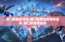 澳门新葡京经历-澳门新葡京的独特经历-澳门新葡京经历
