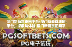 澳门新葡京正网平台-澳门新葡京正网平台，探索与体验-澳门新葡京正网平台
