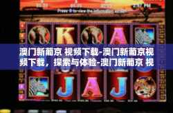 澳门新葡京 视频下载-澳门新葡京视频下载，探索与体验-澳门新葡京 视频下载
