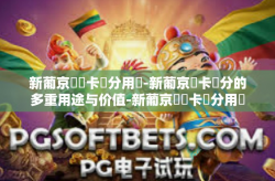 新葡京賔賓卡積分用處-新葡京賓卡積分的多重用途与价值-新葡京賔賓卡積分用處