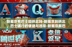 新葡京有巴士回拱北吗-新葡京到拱北，巴士通行的便捷与选择-新葡京有巴士回拱北吗