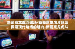 新葡京龙虎斗赌场-新葡京龙虎斗赌场，探索现代赌场的魅力-新葡京龙虎斗赌场