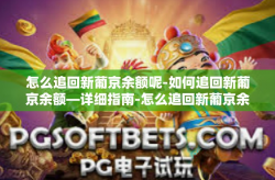 怎么追回新葡京余额呢-如何追回新葡京余额—详细指南-怎么追回新葡京余额呢