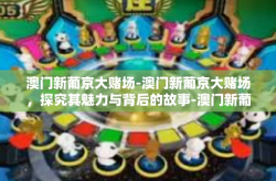澳门新葡京大赌场-澳门新葡京大赌场，探究其魅力与背后的故事-澳门新葡京大赌场