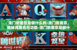 澳门新葡京是做什么的-澳门新葡京，揭秘其角色与功能-澳门新葡京是做什么的
