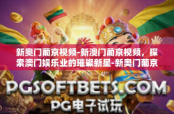 新奥门葡京视频-新澳门葡京视频，探索澳门娱乐业的璀璨新星-新奥门葡京视频