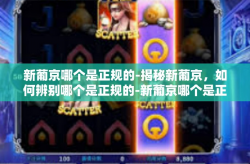 新葡京哪个是正规的-揭秘新葡京，如何辨别哪个是正规的-新葡京哪个是正规的