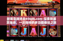 新葡京赌场去65688.com-探索新葡京赌场，一次独特的多功能体验之旅-新葡京赌场去65688.com