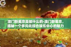 澳门新葡京是做什么的-澳门新葡京，揭秘一个多元化综合娱乐中心的魅力-澳门新葡京是做什么的