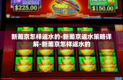 新葡京怎样返水的-新葡京返水策略详解-新葡京怎样返水的
