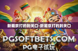 新葡京打的到关口-新葡京打的到关口