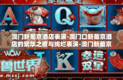 澳门新葡京酒店表演-澳门口新葡京酒店的繁华之夜与绚烂表演-澳门新葡京酒店表演