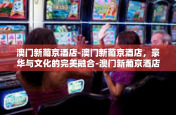 澳门新葡京酒店-澳门新葡京酒店，豪华与文化的完美融合-澳门新葡京酒店