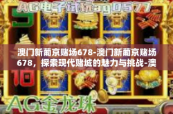 澳门新葡京赌场678-澳门新葡京赌场678，探索现代赌城的魅力与挑战-澳门新葡京赌场678