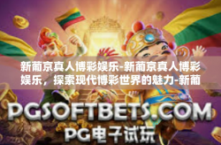 新葡京真人博彩娱乐-新葡京真人博彩娱乐，探索现代博彩世界的魅力-新葡京真人博彩娱乐