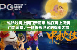 谁玩过网上澳门新葡京-谁在网上玩澳门新葡京，一场虚拟世界的探索之旅-谁玩过网上澳门新葡京