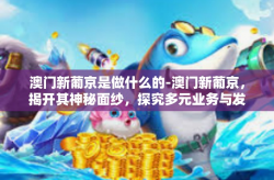 澳门新葡京是做什么的-澳门新葡京，揭开其神秘面纱，探究多元业务与发展-澳门新葡京是做什么的