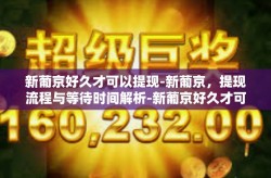 新葡京好久才可以提现-新葡京，提现流程与等待时间解析-新葡京好久才可以提现