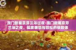 澳门新葡京芬兰浴过夜-澳门新葡京芬兰浴之夜，探索奢华与放松的极致体验-澳门新葡京芬兰浴过夜