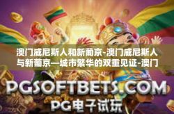 澳门威尼斯人和新葡京-澳门威尼斯人与新葡京—城市繁华的双重见证-澳门威尼斯人和新葡京