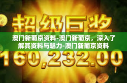 澳门新葡京资料-澳门新葡京，深入了解其资料与魅力-澳门新葡京资料
