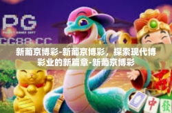 新葡京博彩-新葡京博彩，探索现代博彩业的新篇章-新葡京博彩