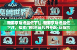 新葡京赌场最低下注-新葡京赌场最低下注，探索门槛与背后的考虑-新葡京赌场最低下注