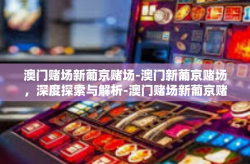 澳门赌场新葡京赌场-澳门新葡京赌场，深度探索与解析-澳门赌场新葡京赌场
