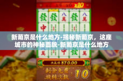 新葡京是什么地方-揭秘新葡京，这座城市的神秘面貌-新葡京是什么地方