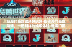 新澳门葡京赌场好玩吗-探索澳门葡京赌场，一场别样的娱乐体验-新澳门葡京赌场好玩吗
