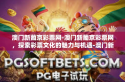 澳门新葡京彩票网-澳门新葡京彩票网，探索彩票文化的魅力与机遇-澳门新葡京彩票网