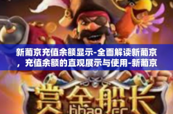 新葡京充值余额显示-全面解读新葡京，充值余额的直观展示与使用-新葡京充值余额显示