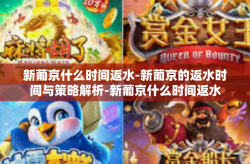 新葡京什么时间返水-新葡京的返水时间与策略解析-新葡京什么时间返水