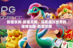 新葡京网-新葡京网，探索虚拟世界的赌博乐趣-新葡京网